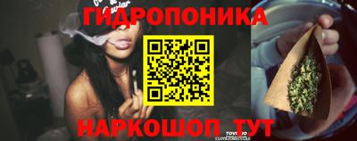 ALPHA PVP Кунгур