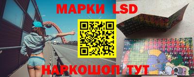 прущие грибы Кулебаки