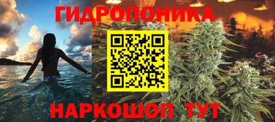ALPHA PVP Кунгур