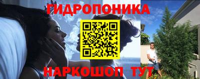 прущие грибы Кулебаки